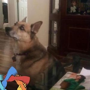 Meet your Posher, Ilene